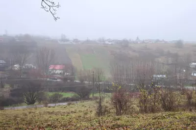 Lista localităților sub avertizare de vreme severă imediată: zonele din România cu ceață și vijelii cu rafale de până la 120 km/h