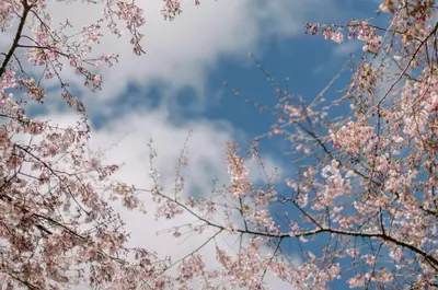 Prognoză specială emisă de ANM pentru București. Ce se întâmplă cu temperatura în următoare 72 de ore