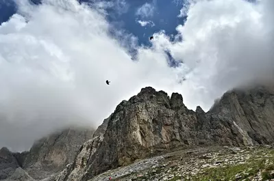 O comoară ascunsă printre munții României. Locul unde natura alină suferințele