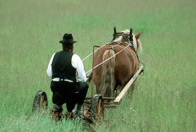 A fost odata in America: comunitatea Amish