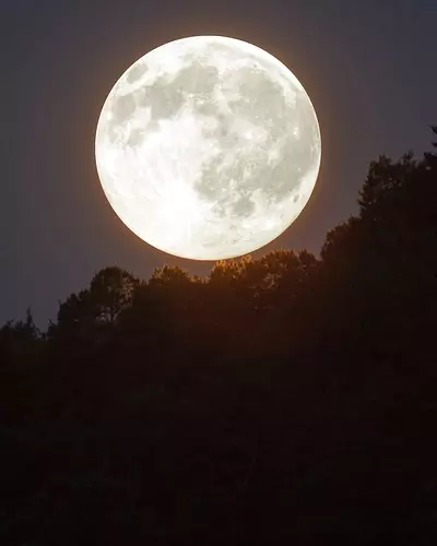 Luna Plina11