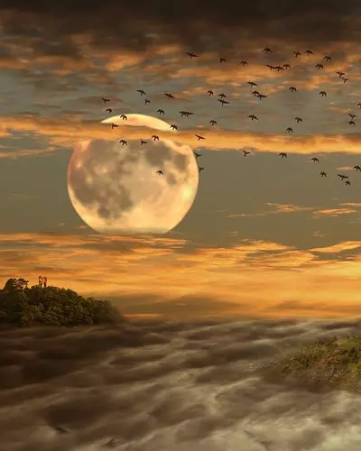 Luna Plina7