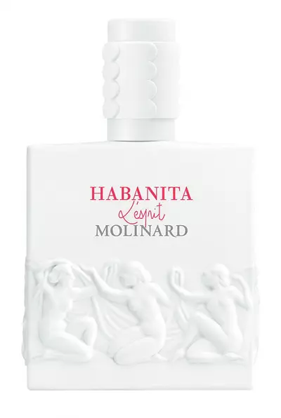 Parfum Molinard Habanita L'Esprit, 450 lei (exclusiv la Beautik Haute Parfumerie)