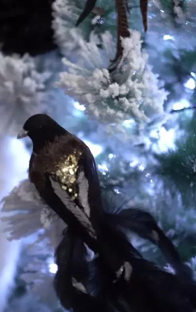 adelina-pestritu-impodobit-bradu-9