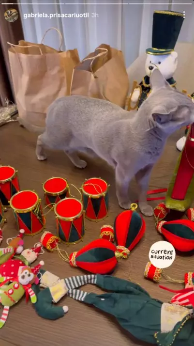 dani-otil-gabriela-prisacariu-brad-craciun-tiago-2025 (2)