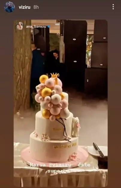 turta-fiicei-lui-augustin-viziru-petrecere-cu-lautari-si-vedete-din-showbiz-ce-a-ales-de-pe-tava-maria_6