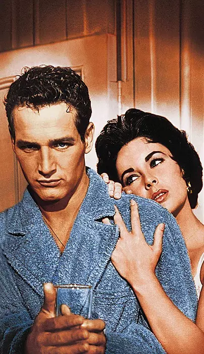 Cat On A Hot Tin Roof - filmstill