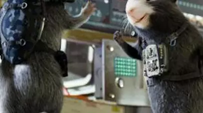 „G-Force, Salvatorii Planetei” (video)