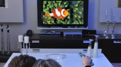 Zodiacul Chinezesc. Ce zodie chinezească ești în funcție de anul nașterii