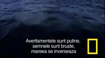 Zodiacul Chinezesc. Ce zodie chinezească ești în funcție de anul nașterii
