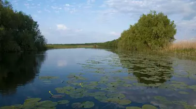 Delta Dunării, locul de care te vei îndrăgosti iremediabil