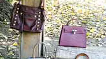Zodiacul Chinezesc. Ce zodie chinezească ești în funcție de anul nașterii