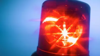 Zodiacul Chinezesc. Ce zodie chinezească ești în funcție de anul nașterii