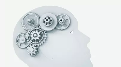 Zodiacul Chinezesc. Ce zodie chinezească ești în funcție de anul nașterii