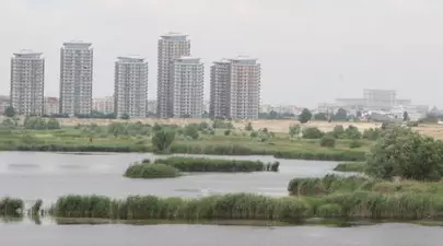 Zodiacul Chinezesc. Ce zodie chinezească ești în funcție de anul nașterii