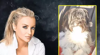 EXCLUSIV! De ce l-a părăsit Tania Budi pe Adrian Cristea