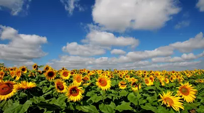 Horoscop: Cea mai importantă săptămână a anului