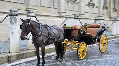 Zodiacul Chinezesc. Ce zodie chinezească ești în funcție de anul nașterii