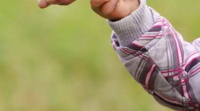 Zodiacul Chinezesc. Ce zodie chinezească ești în funcție de anul nașterii
