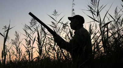 Zodiacul Chinezesc. Ce zodie chinezească ești în funcție de anul nașterii