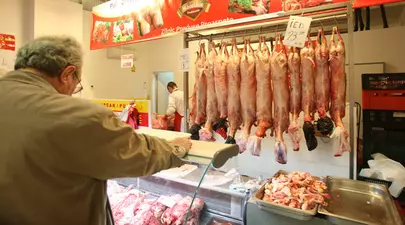 Zodiacul Chinezesc. Ce zodie chinezească ești în funcție de anul nașterii