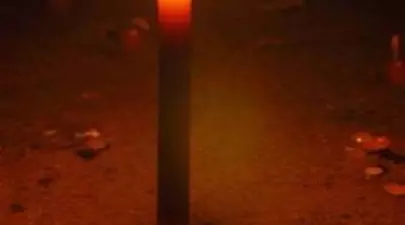 Zodiacul Chinezesc. Ce zodie chinezească ești în funcție de anul nașterii