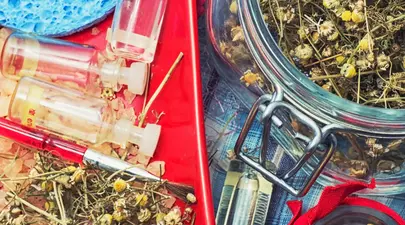 Zodiacul Chinezesc. Ce zodie chinezească ești în funcție de anul nașterii