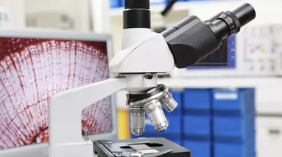 Zodiacul Chinezesc. Ce zodie chinezească ești în funcție de anul nașterii