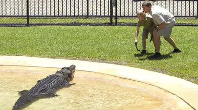 Fiul lui Steve Irwin, la un pas de a fi muşcat de un crocodil
