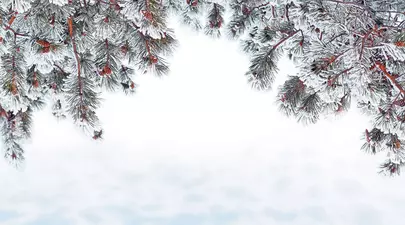 Horoscopul iernii. Cum ne va merge în decembrie, ianuarie si februarie