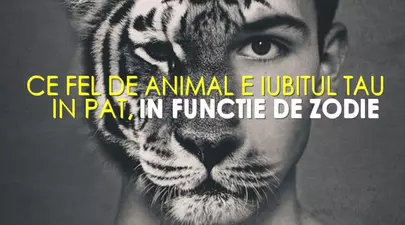 Zodiacul Chinezesc. Ce zodie chinezească ești în funcție de anul nașterii