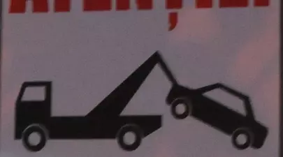 Zodiacul Chinezesc. Ce zodie chinezească ești în funcție de anul nașterii