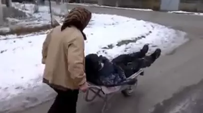 Zodiacul Chinezesc. Ce zodie chinezească ești în funcție de anul nașterii