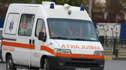 Zodiacul Chinezesc. Ce zodie chinezească ești în funcție de anul nașterii
