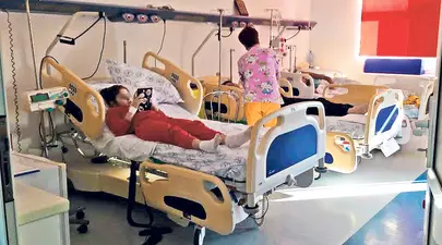 Zodiacul Chinezesc. Ce zodie chinezească ești în funcție de anul nașterii