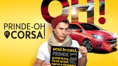 Zodiacul Chinezesc. Ce zodie chinezească ești în funcție de anul nașterii