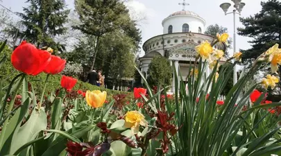 Zodiacul Chinezesc. Ce zodie chinezească ești în funcție de anul nașterii