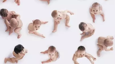 Zodiacul Chinezesc. Ce zodie chinezească ești în funcție de anul nașterii