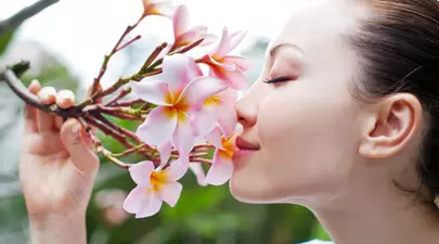 Zodiacul Chinezesc. Ce zodie chinezească ești în funcție de anul nașterii