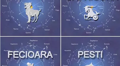 Zodiacul Chinezesc. Ce zodie chinezească ești în funcție de anul nașterii