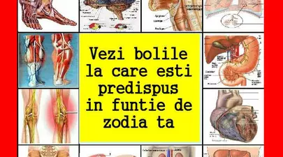 Zodiacul Chinezesc. Ce zodie chinezească ești în funcție de anul nașterii