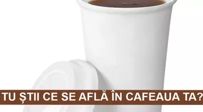 Zodiacul Chinezesc. Ce zodie chinezească ești în funcție de anul nașterii