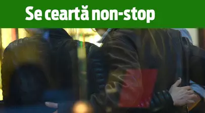 Zodiacul Chinezesc. Ce zodie chinezească ești în funcție de anul nașterii