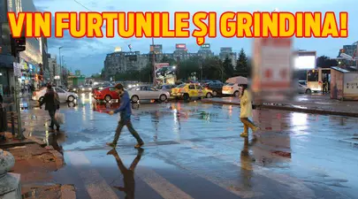 Zodiacul Chinezesc. Ce zodie chinezească ești în funcție de anul nașterii