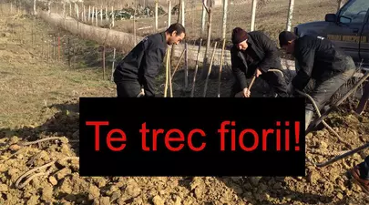Zodiacul Chinezesc. Ce zodie chinezească ești în funcție de anul nașterii