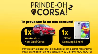 Zodiacul Chinezesc. Ce zodie chinezească ești în funcție de anul nașterii