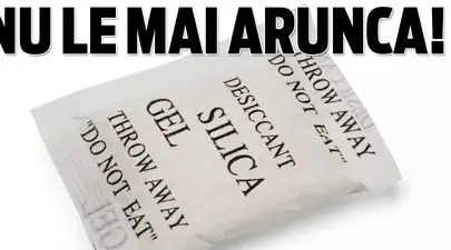 Zodiacul Chinezesc. Ce zodie chinezească ești în funcție de anul nașterii