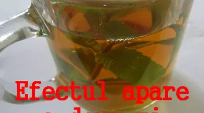 Zodiacul Chinezesc. Ce zodie chinezească ești în funcție de anul nașterii