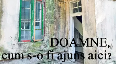 Zodiacul Chinezesc. Ce zodie chinezească ești în funcție de anul nașterii