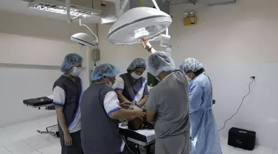 Zodiacul Chinezesc. Ce zodie chinezească ești în funcție de anul nașterii